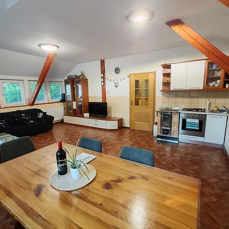 Apartamento Apartma Pohorc - Kostanj *