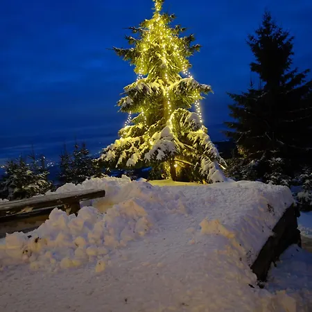 Apartma Pohorc - Kostanj