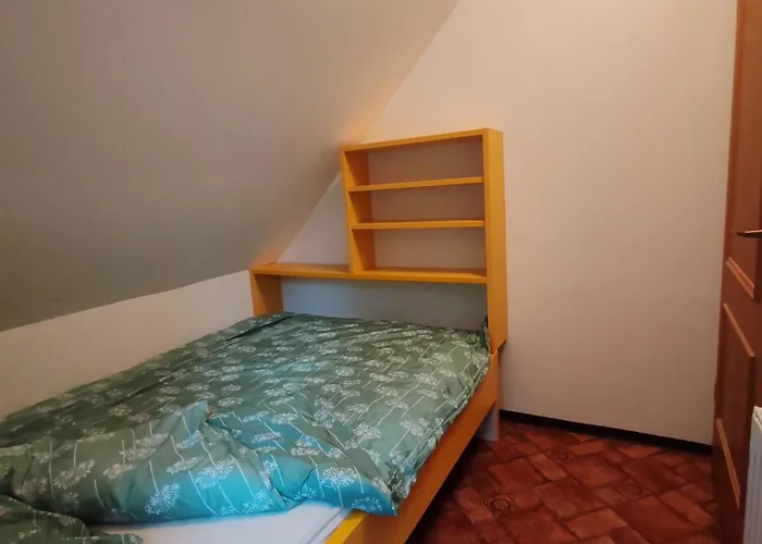Apartma Pohorc - Kostanj * Hocko Pohorje