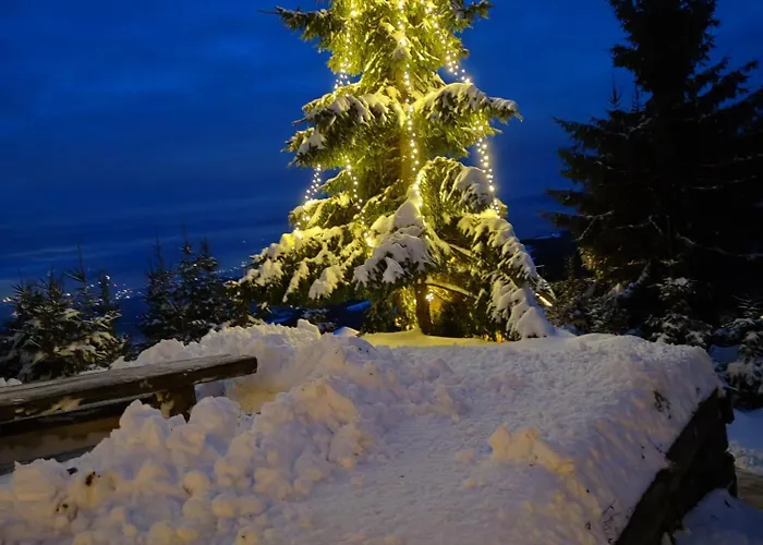 Apartma Pohorc - Kostanj